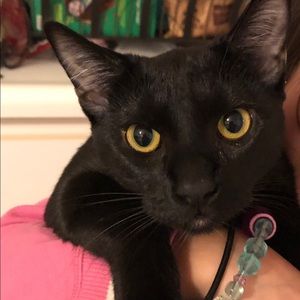 Meet your Posher, Heidi